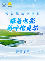 老狼影院电视剧在线观看